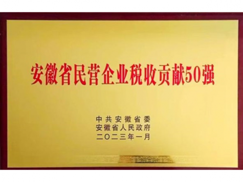 安徽省民營(yíng)企業(yè)稅收貢獻(xiàn)50強(qiáng)